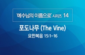 2020-06-07 포도나무 (The Vine)